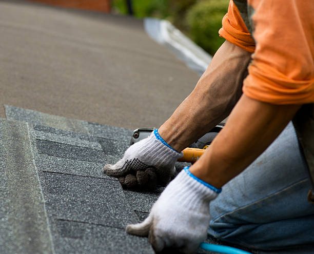 Best Storm Damage Roof Repair  in Churchville, NY