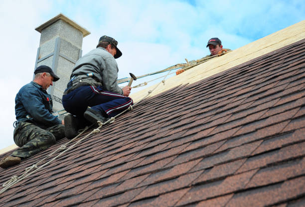 Best Metal Roofing Contractor  in Churchville, NY